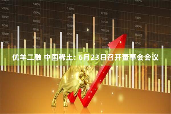 优羊二融 中国稀土: 6月23日召开董事会会议