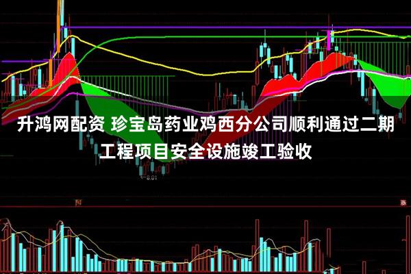 升鸿网配资 珍宝岛药业鸡西分公司顺利通过二期工程项目安全设施竣工验收
