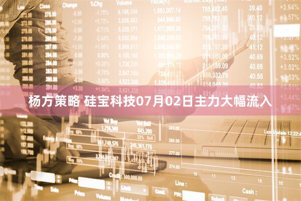 杨方策略 硅宝科技07月02日主力大幅流入