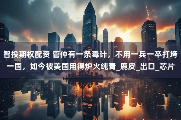 智投期权配资 管仲有一条毒计，不用一兵一卒打垮一国，如今被美国用得炉火纯青_鹿皮_出口_芯片